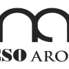 Mesoarema